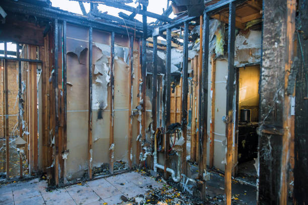 Professional Smoke Damage Removal technician working in Sunset, LA